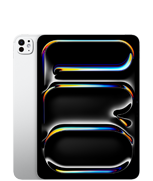 iPad Pro 11 (M5 모델)